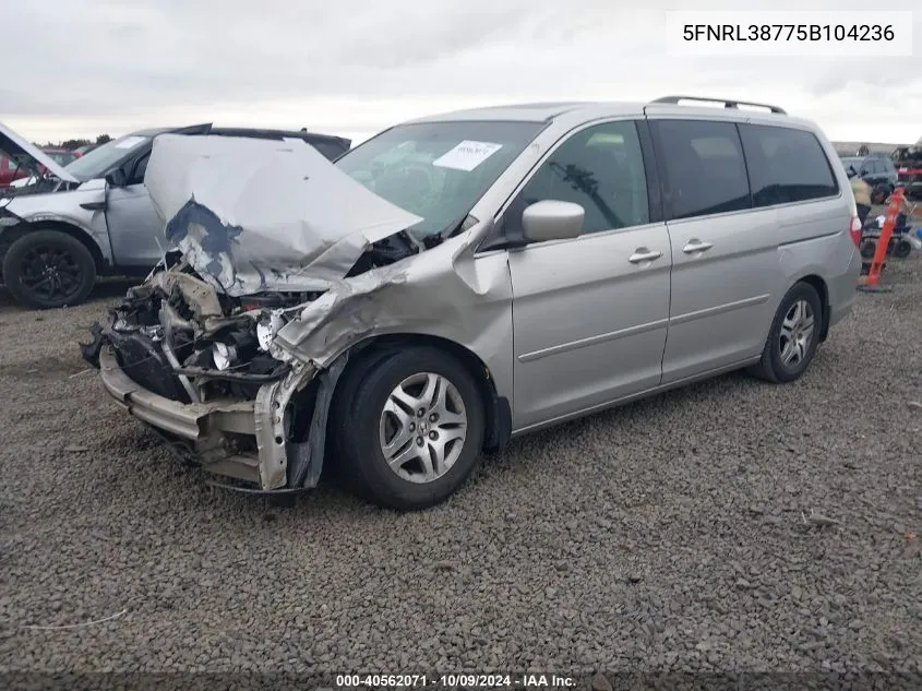 2005 Honda Odyssey Exl VIN: 5FNRL38775B104236 Lot: 40562071