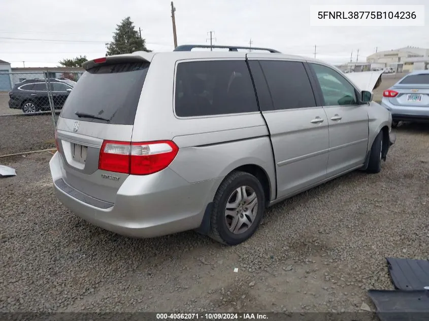 2005 Honda Odyssey Exl VIN: 5FNRL38775B104236 Lot: 40562071