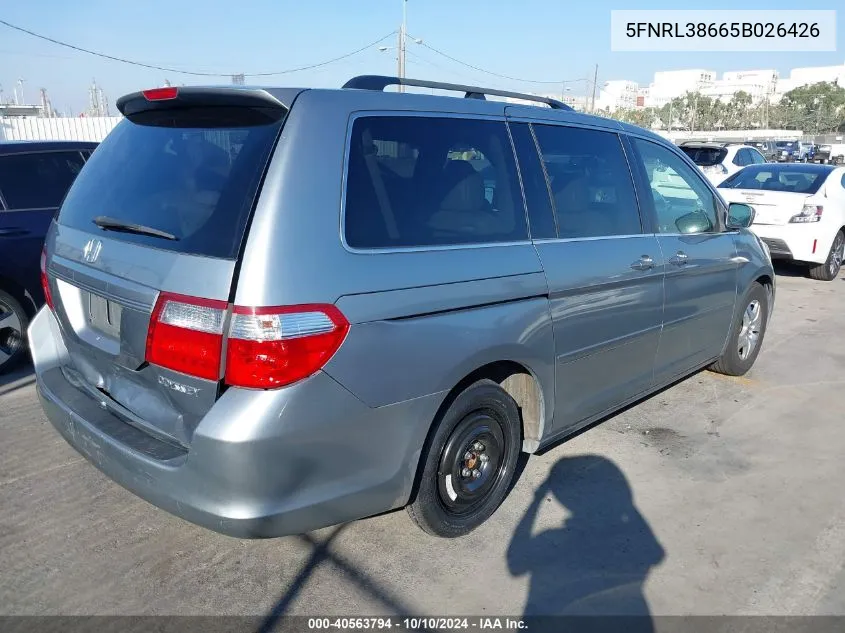 2005 Honda Odyssey Ex-L VIN: 5FNRL38665B026426 Lot: 40563794