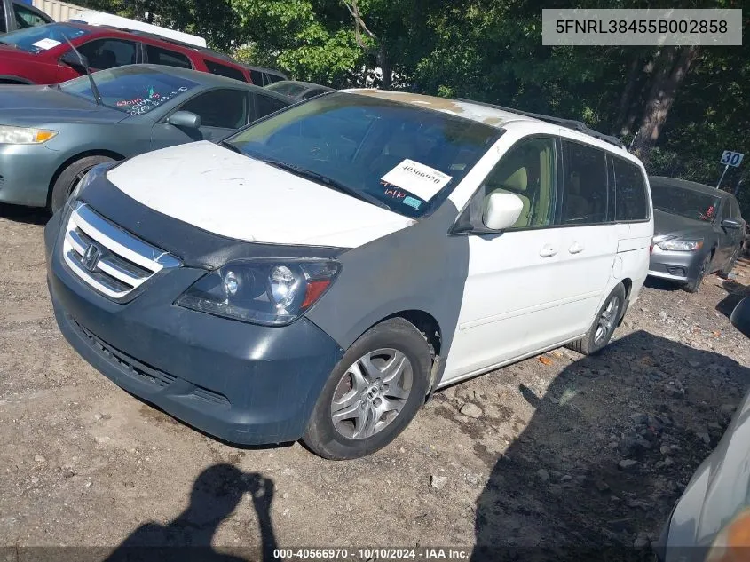 2005 Honda Odyssey Ex VIN: 5FNRL38455B002858 Lot: 40566970