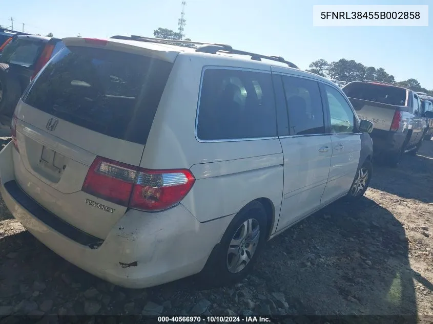 2005 Honda Odyssey Ex VIN: 5FNRL38455B002858 Lot: 40566970