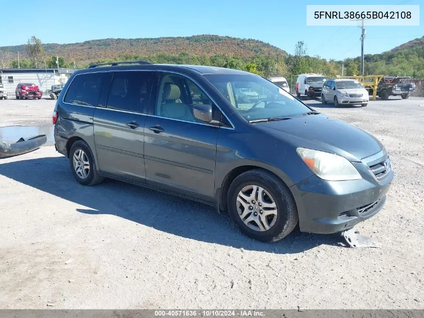 2005 Honda Odyssey Ex-L VIN: 5FNRL38665B042108 Lot: 40571636