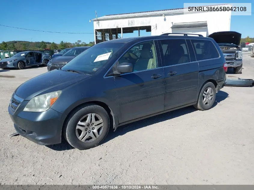 2005 Honda Odyssey Ex-L VIN: 5FNRL38665B042108 Lot: 40571636