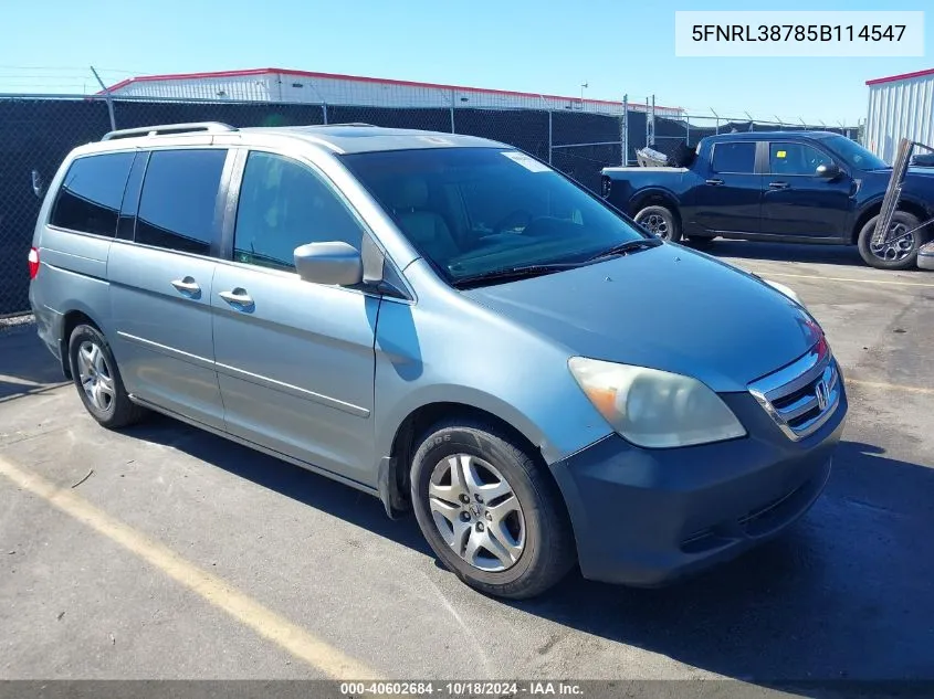 2005 Honda Odyssey Ex-L VIN: 5FNRL38785B114547 Lot: 40602684