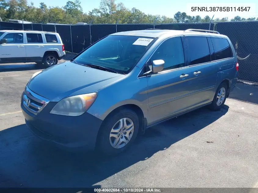 2005 Honda Odyssey Ex-L VIN: 5FNRL38785B114547 Lot: 40602684