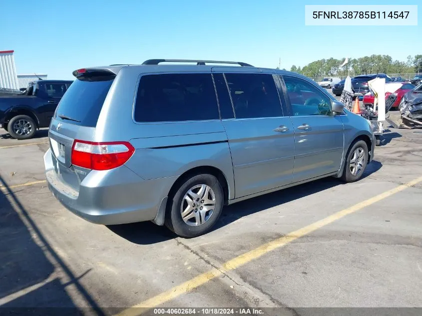 2005 Honda Odyssey Ex-L VIN: 5FNRL38785B114547 Lot: 40602684