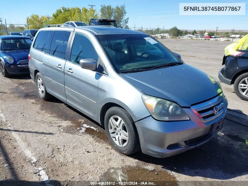 2005 Honda Odyssey Ex-L VIN: 5FNRL38745B077867 Lot: 40625512