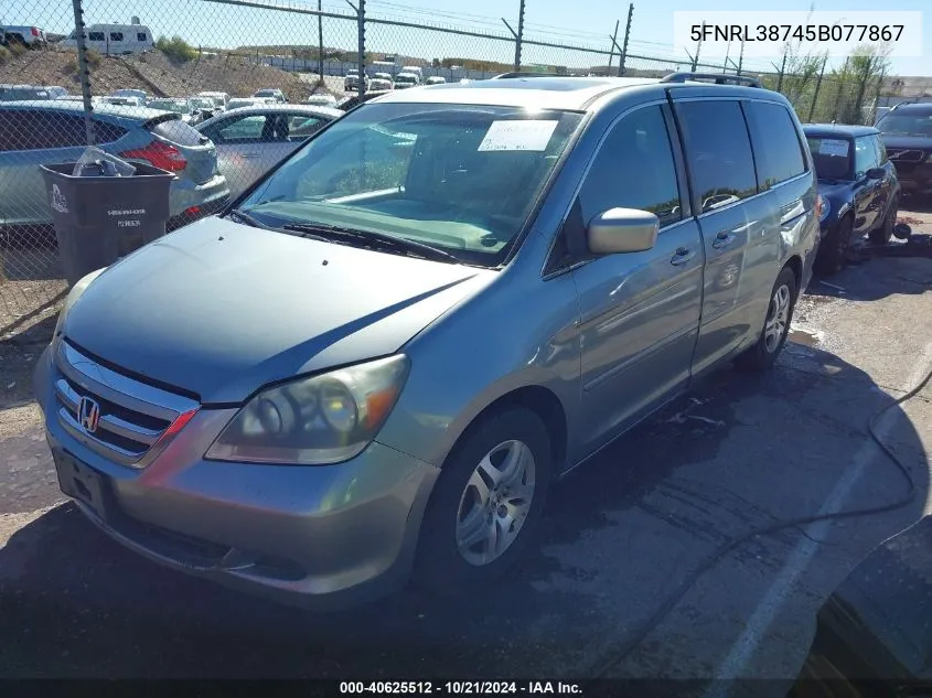 2005 Honda Odyssey Ex-L VIN: 5FNRL38745B077867 Lot: 40625512