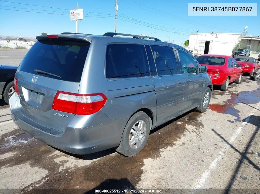 2005 Honda Odyssey Ex-L VIN: 5FNRL38745B077867 Lot: 40625512