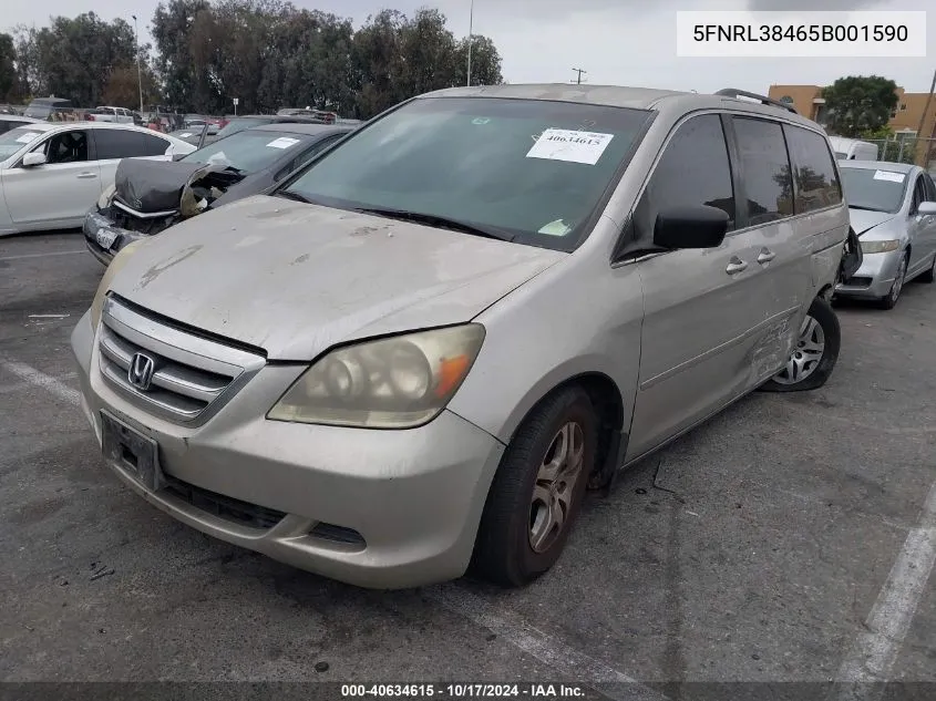 2005 Honda Odyssey Ex VIN: 5FNRL38465B001590 Lot: 40634615