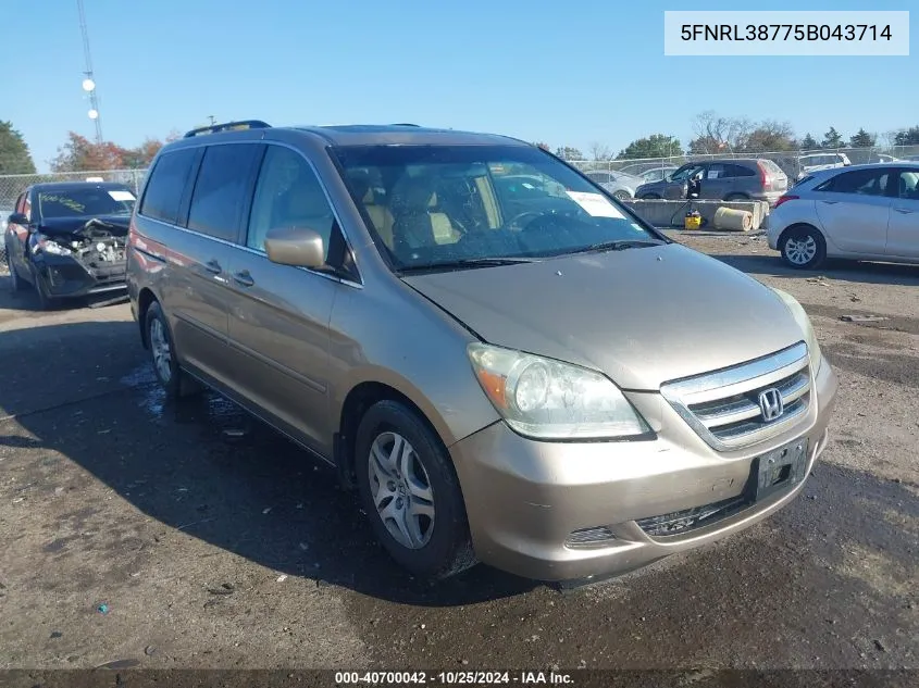 2005 Honda Odyssey Ex-L VIN: 5FNRL38775B043714 Lot: 40700042