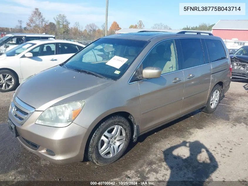 2005 Honda Odyssey Ex-L VIN: 5FNRL38775B043714 Lot: 40700042