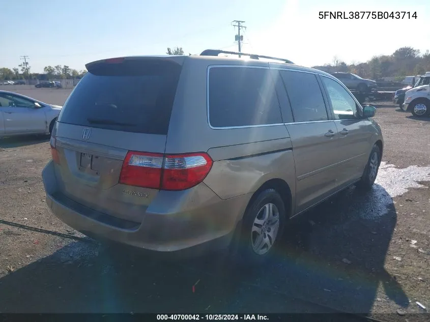 2005 Honda Odyssey Ex-L VIN: 5FNRL38775B043714 Lot: 40700042