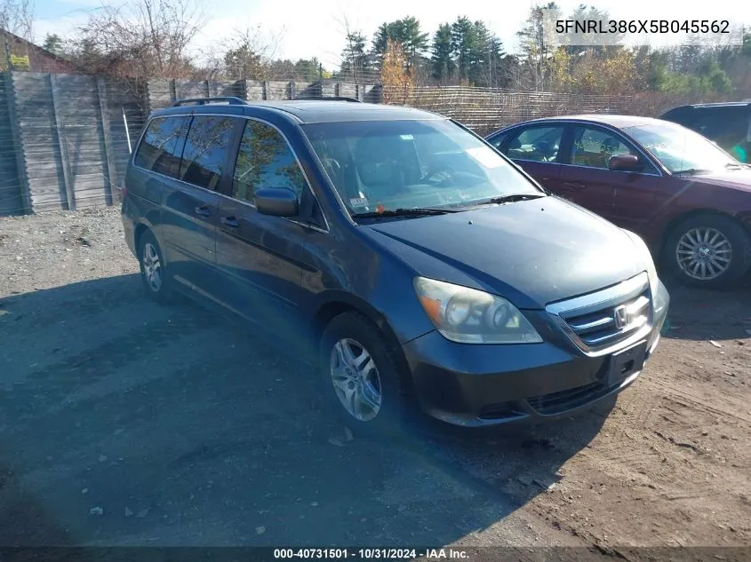 2005 Honda Odyssey Ex-L VIN: 5FNRL386X5B045562 Lot: 40731501