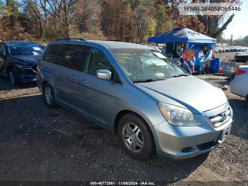 2005 Honda Odyssey Ex VIN: 5FNRL38405B065446 Lot: 40772561