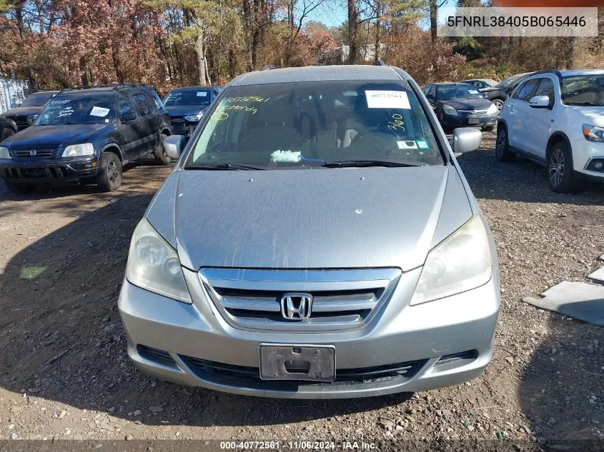 2005 Honda Odyssey Ex VIN: 5FNRL38405B065446 Lot: 40772561