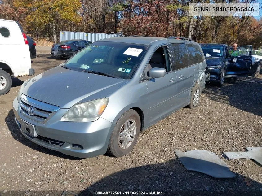 2005 Honda Odyssey Ex VIN: 5FNRL38405B065446 Lot: 40772561