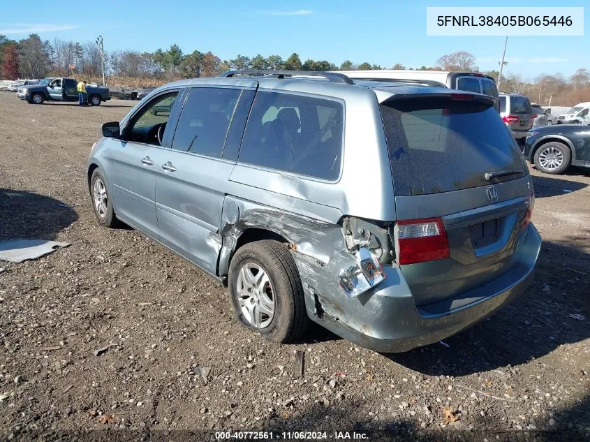 2005 Honda Odyssey Ex VIN: 5FNRL38405B065446 Lot: 40772561