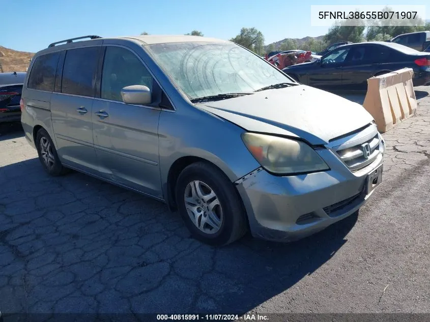 2005 Honda Odyssey Ex-L VIN: 5FNRL38655B071907 Lot: 40815991