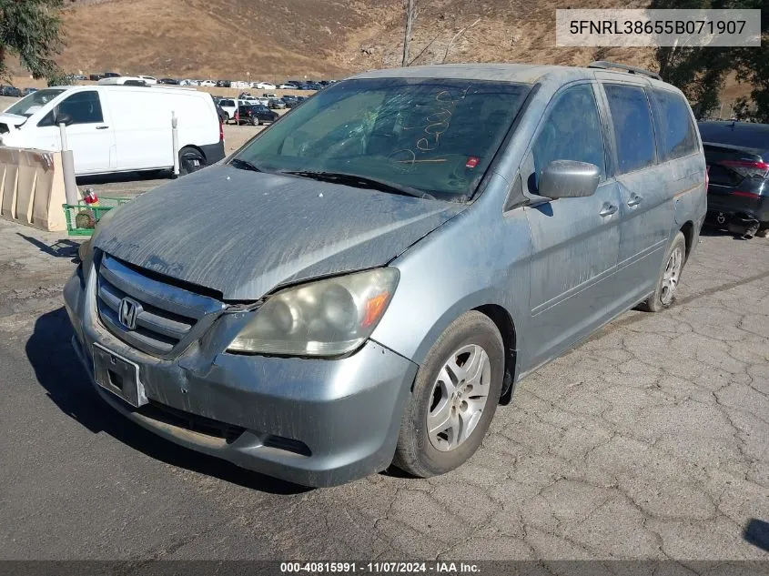 2005 Honda Odyssey Ex-L VIN: 5FNRL38655B071907 Lot: 40815991