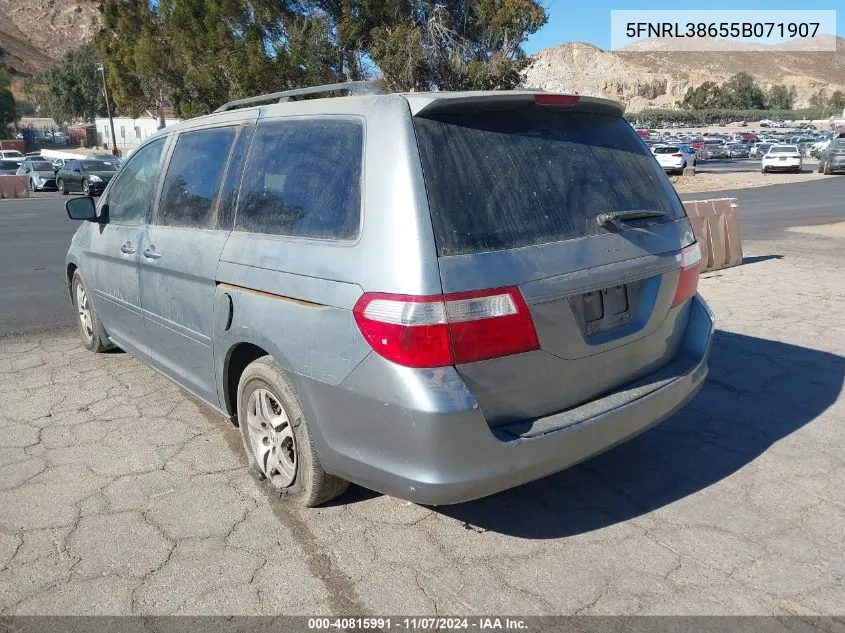 2005 Honda Odyssey Ex-L VIN: 5FNRL38655B071907 Lot: 40815991