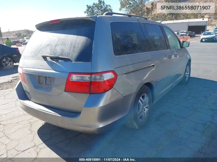 2005 Honda Odyssey Ex-L VIN: 5FNRL38655B071907 Lot: 40815991