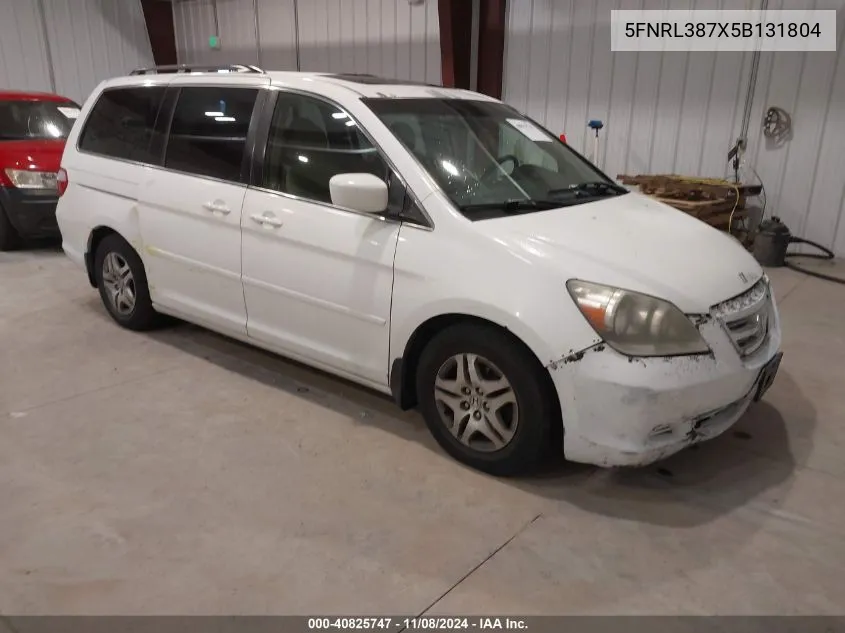 2005 Honda Odyssey Ex-L VIN: 5FNRL387X5B131804 Lot: 40825747