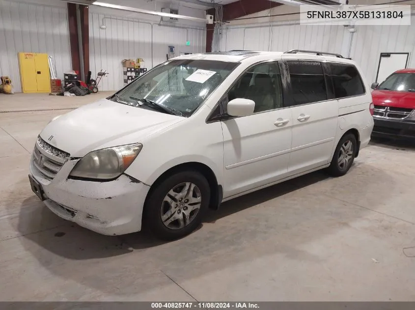 2005 Honda Odyssey Ex-L VIN: 5FNRL387X5B131804 Lot: 40825747