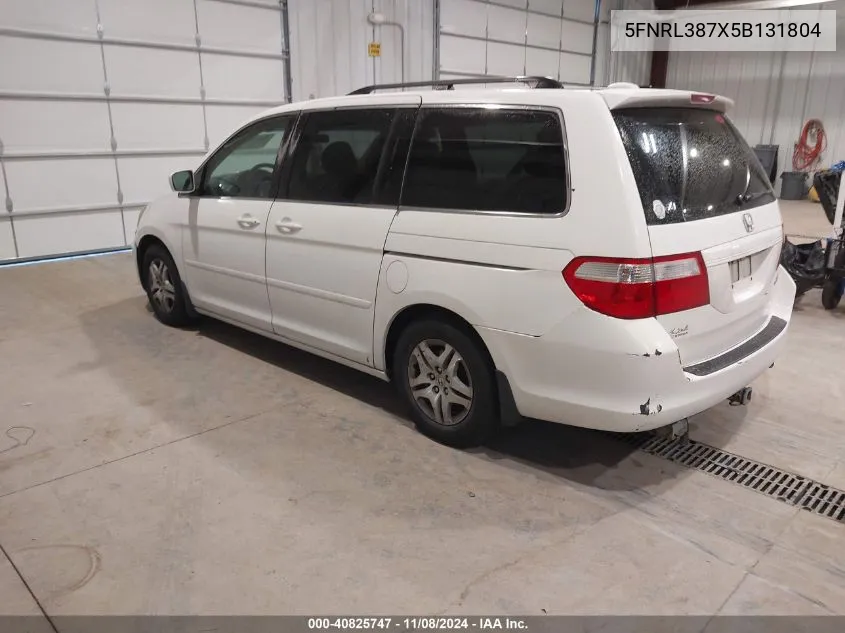 2005 Honda Odyssey Ex-L VIN: 5FNRL387X5B131804 Lot: 40825747