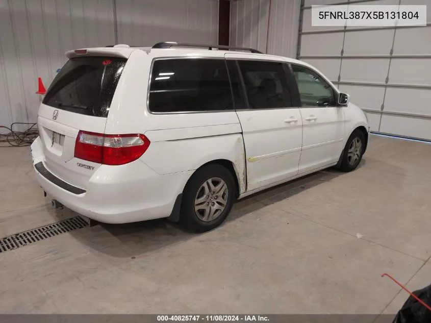 2005 Honda Odyssey Ex-L VIN: 5FNRL387X5B131804 Lot: 40825747