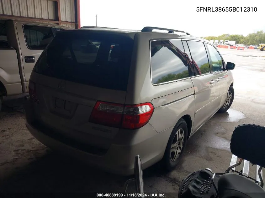 2005 Honda Odyssey Ex-L VIN: 5FNRL38655B012310 Lot: 40889199