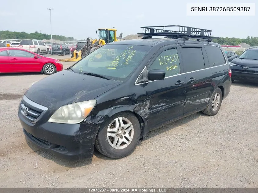 5FNRL38726B509387 2006 Honda Odyssey Exl