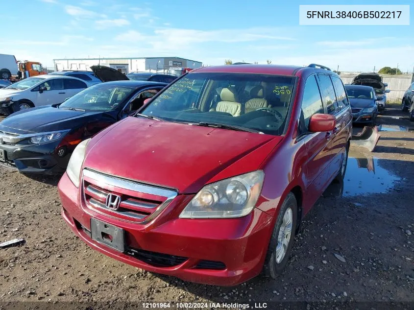 2006 Honda Odyssey VIN: 5FNRL38406B502217 Lot: 12101964