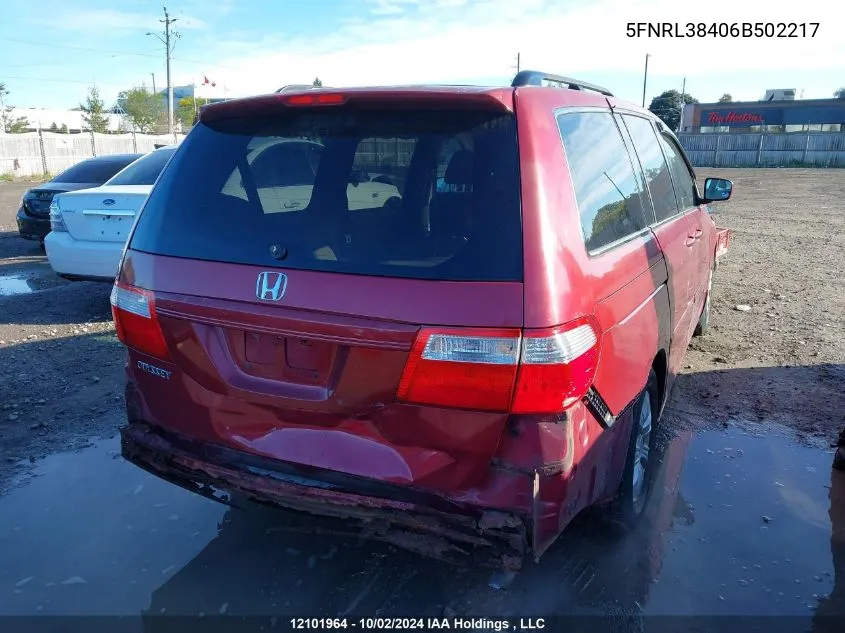 2006 Honda Odyssey VIN: 5FNRL38406B502217 Lot: 12101964