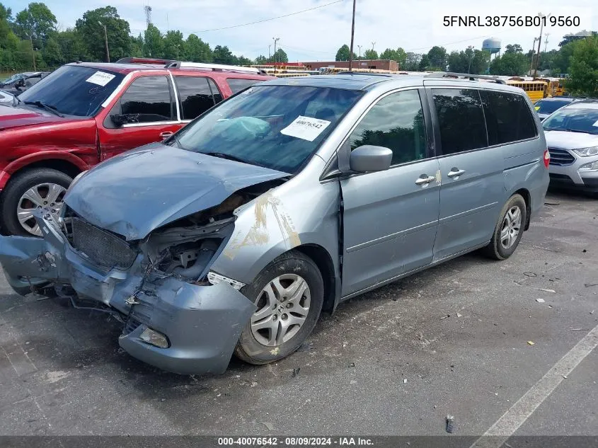 2006 Honda Odyssey Ex-L VIN: 5FNRL38756B019560 Lot: 40076542