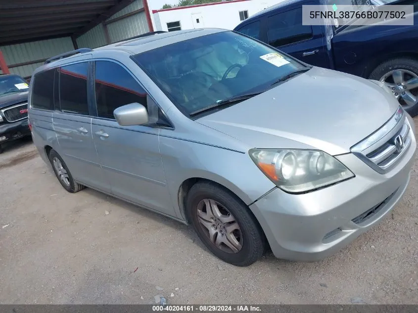 2006 Honda Odyssey Ex-L VIN: 5FNRL38766B077502 Lot: 40204161