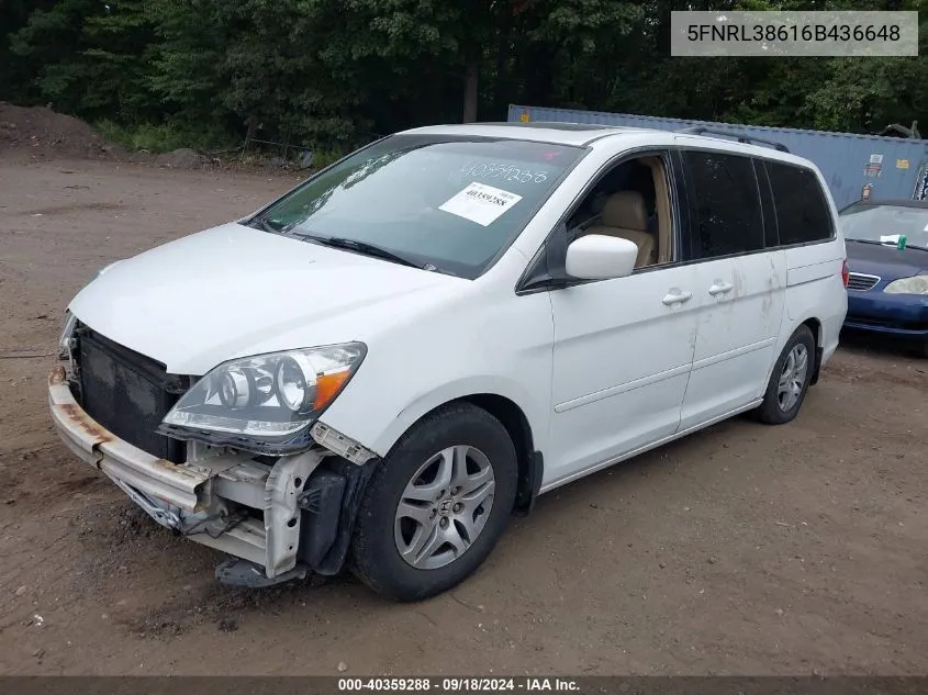 2006 Honda Odyssey Ex-L VIN: 5FNRL38616B436648 Lot: 40359288