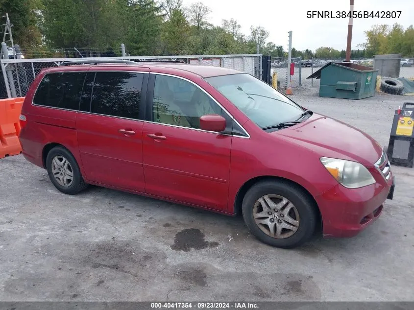 2006 Honda Odyssey Ex VIN: 5FNRL38456B442807 Lot: 40417354