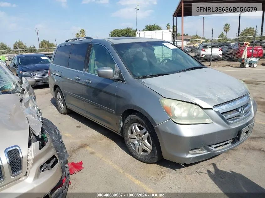 2006 Honda Odyssey Exl VIN: 5FNRL38636B056579 Lot: 40530557