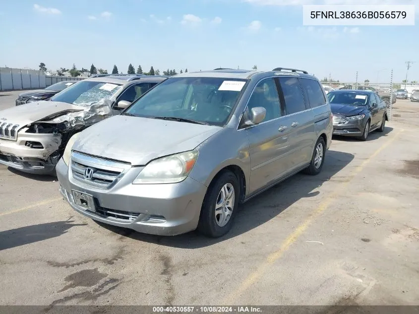 2006 Honda Odyssey Exl VIN: 5FNRL38636B056579 Lot: 40530557