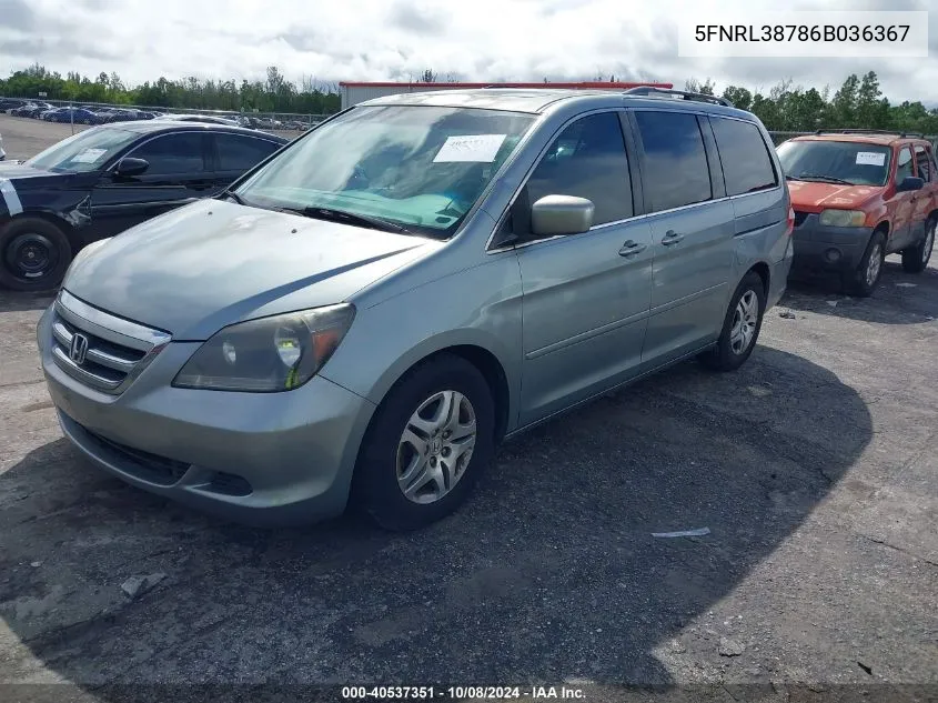 2006 Honda Odyssey Exl VIN: 5FNRL38786B036367 Lot: 40537351