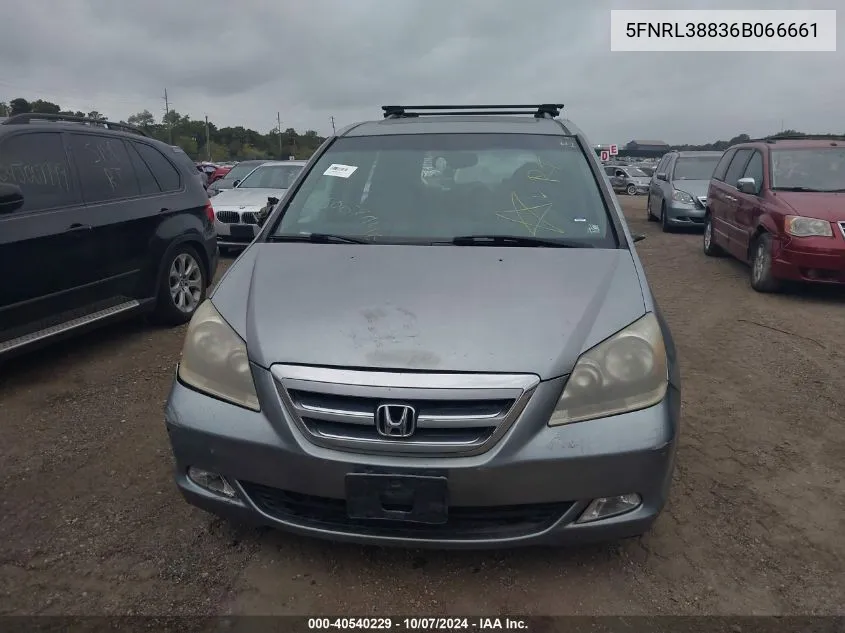 2006 Honda Odyssey Touring VIN: 5FNRL38836B066661 Lot: 40540229