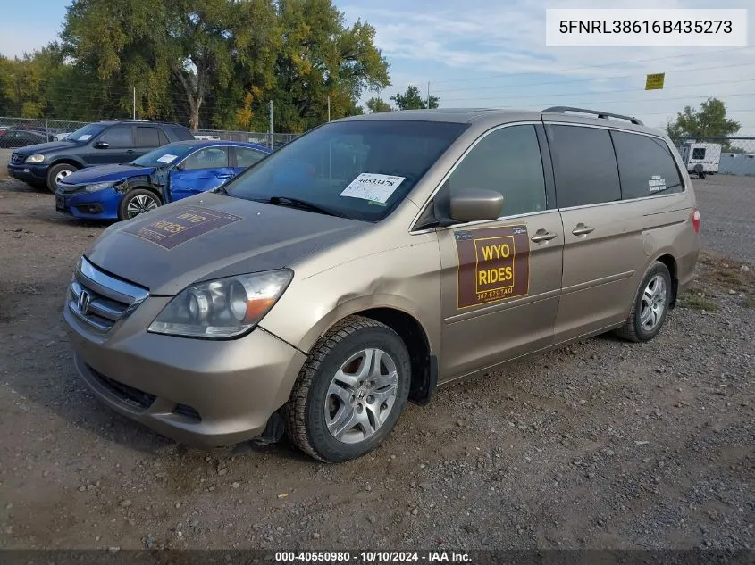 2006 Honda Odyssey Ex-L VIN: 5FNRL38616B435273 Lot: 40550980