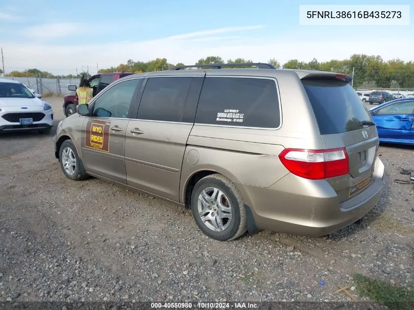 2006 Honda Odyssey Ex-L VIN: 5FNRL38616B435273 Lot: 40550980