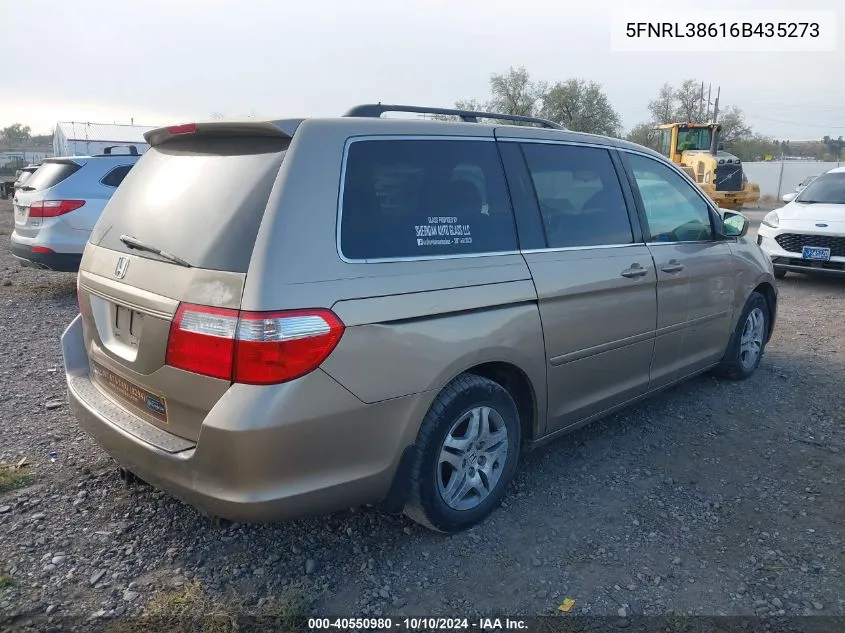 2006 Honda Odyssey Ex-L VIN: 5FNRL38616B435273 Lot: 40550980