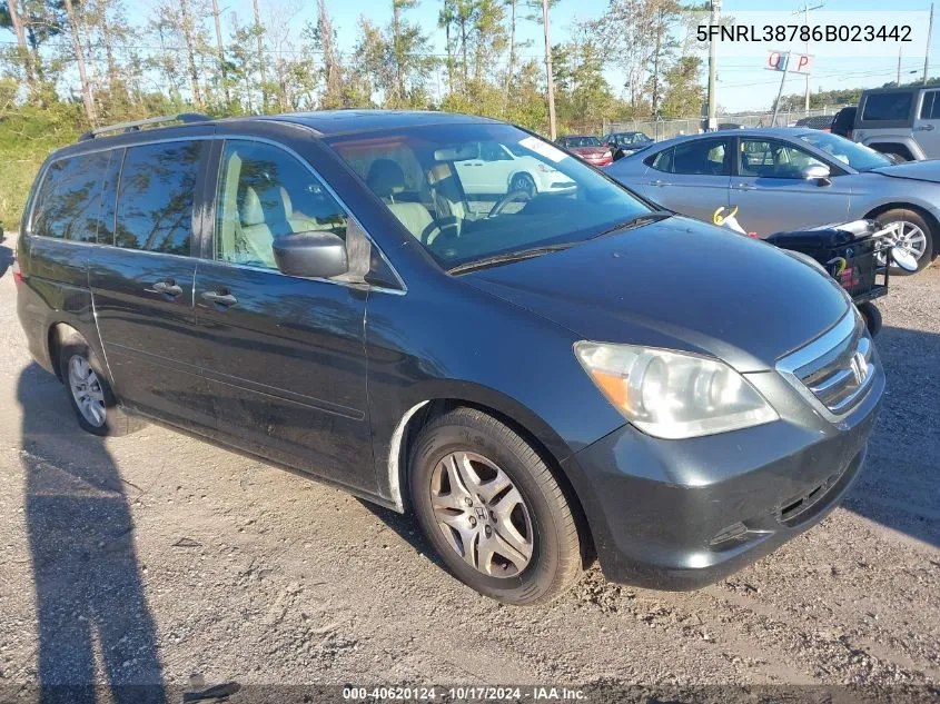 2006 Honda Odyssey Ex-L VIN: 5FNRL38786B023442 Lot: 40620124