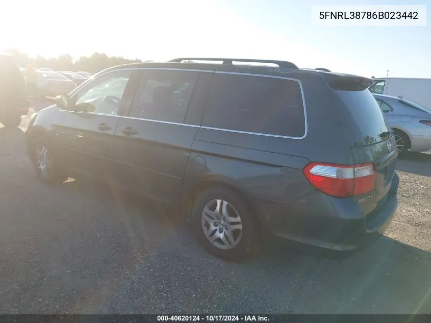 2006 Honda Odyssey Ex-L VIN: 5FNRL38786B023442 Lot: 40620124