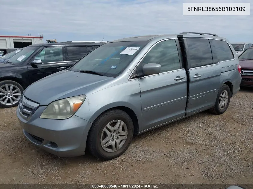 2006 Honda Odyssey Ex-L VIN: 5FNRL38656B103109 Lot: 40630546