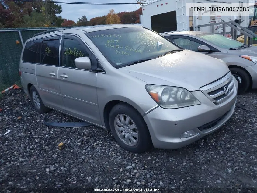 2006 Honda Odyssey Touring VIN: 5FNRL38896B067085 Lot: 40684759