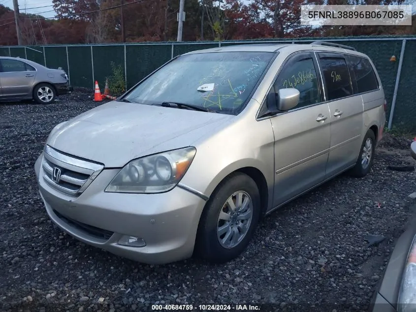 2006 Honda Odyssey Touring VIN: 5FNRL38896B067085 Lot: 40684759